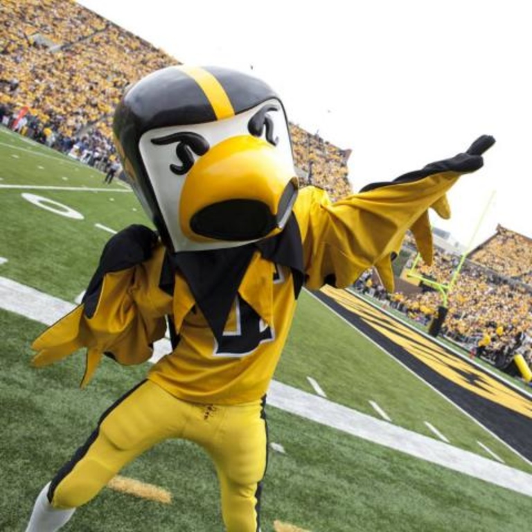 Herky the Hawk
